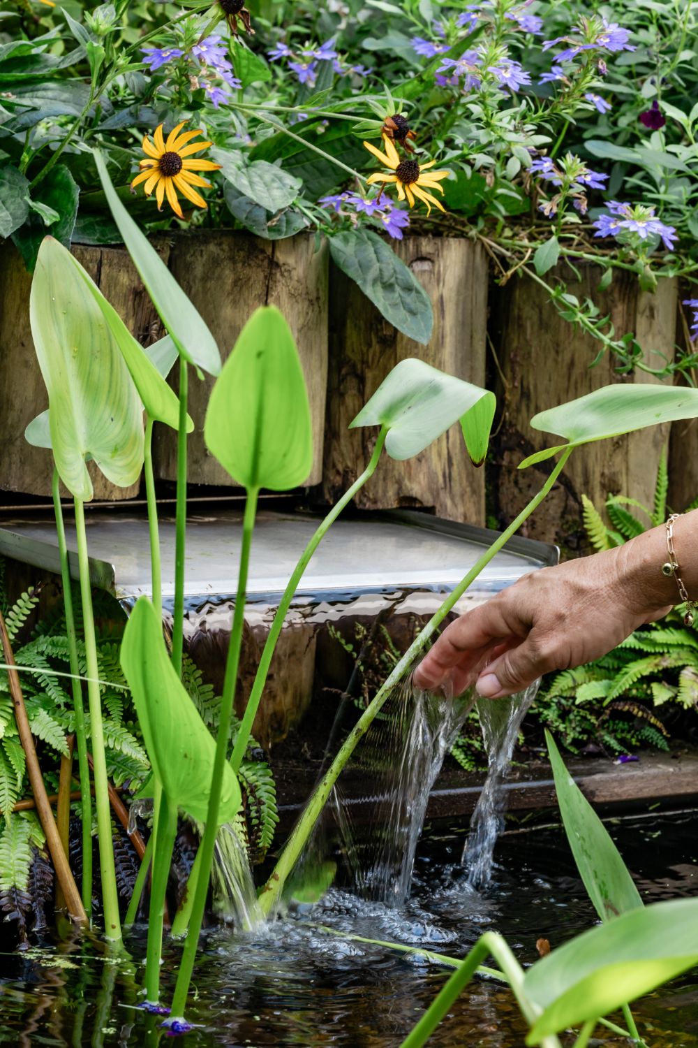 Eline Cointepas Feng Shui Bazi Professional energie groen tuin water planten